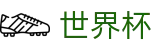 2026美加墨世界杯 | 2026世界杯买球赛单场最高限额是多少 | 官方购彩